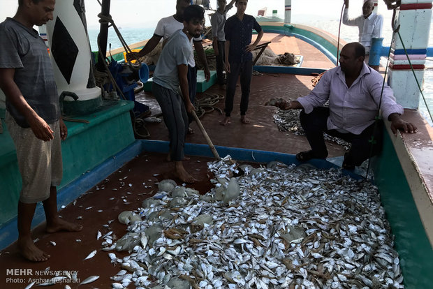 Fishing on Qeshm Island