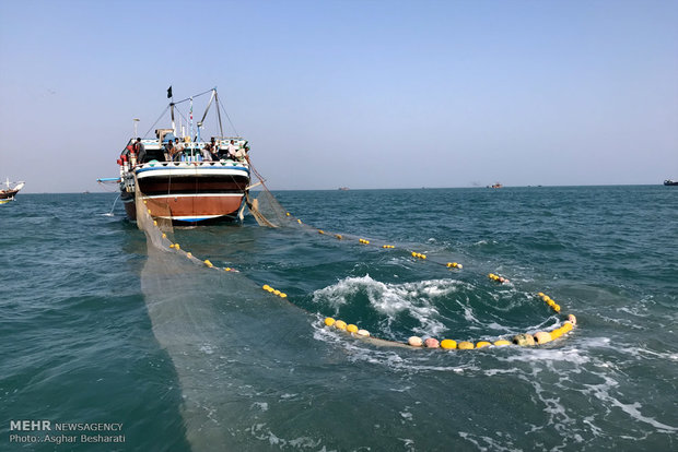 Fishing on Qeshm Island