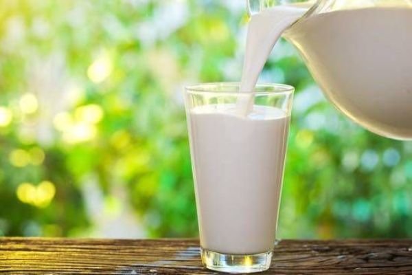 سرانه مصرف شیر در کشور ٣ لیوان در هفته 