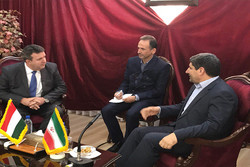 Iran, Hungary posed for boost of academic ties