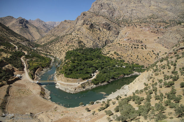 سور یاقوت سرخ در انارستان های هورامان