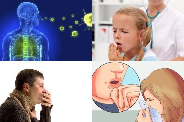 سل،مرگ،جهان،گزارش