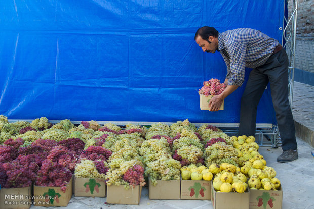 جشنواره انگور روستای هزاوه