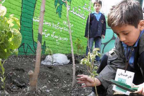 اولین کانون محیط زیست مدارس در شمال تهران تشکیل شد