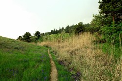 جزئیات و ماجرای سرقت شبانه از کلینیک پردیسان در تهران