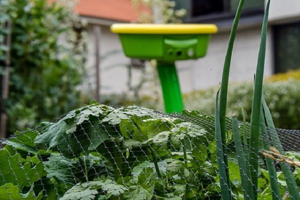 ربات باغبان با قابلیت مقابله با آفات و آبیاری گیاهان از راه رسید
