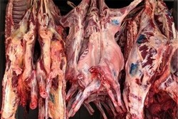 تأیید عرضه گوشت اسب و الاغ / میزان عرضه نگران کننده نیست