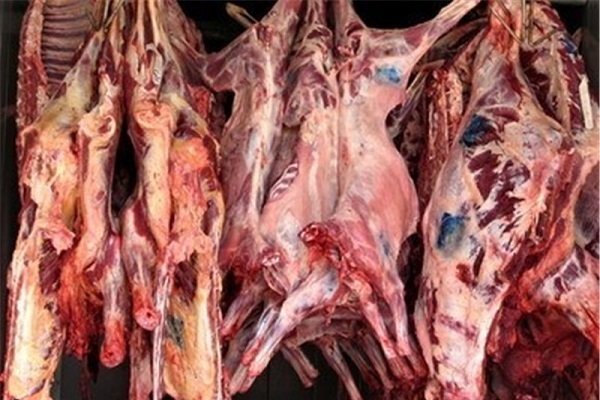 توزیع گوشت گوسفندی گرم به قیمت۳۷۰۰۰تومان/پلمپ دائم باتخلف درتوزیع
