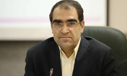 وزیر بهداشت:اربعین نماد اقتدار ایرانِ قدرتمند است