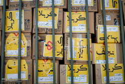 ارسال محموله ۱۹۰ تنی دارو وتجهیزات پزشکی به کشور عراق ویژه اربعین