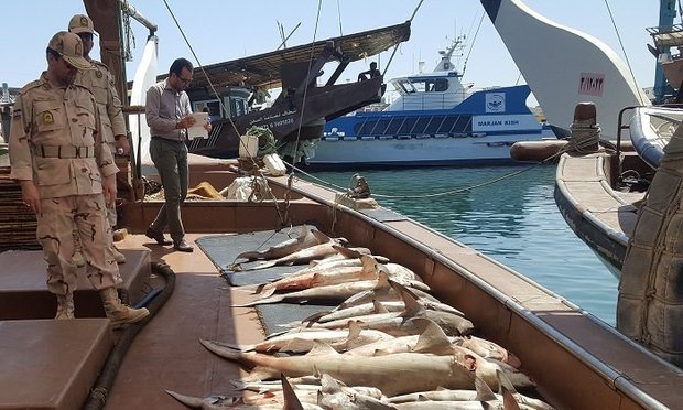 Data collection, bycatch reduction, halting illegal fishing slow