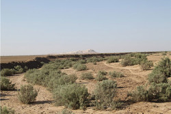 شناسایی و پرکردن بیش از ۱۳۶۰ چاه غیرمجاز در استان قزوین