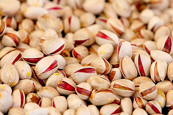 Researchers use pistachio shells in wastewater treatment