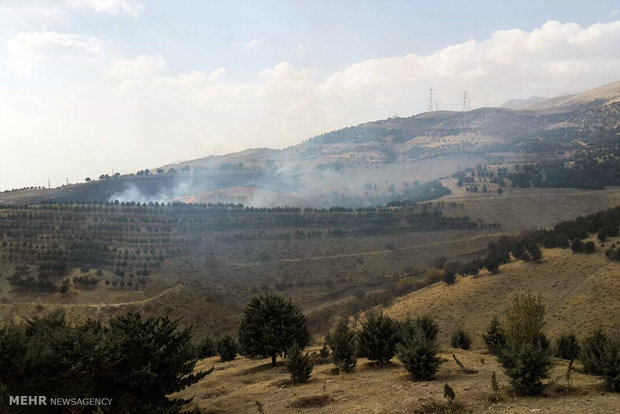 آتش سوزی جنگل سوهانک بدون خسارت مهار شد