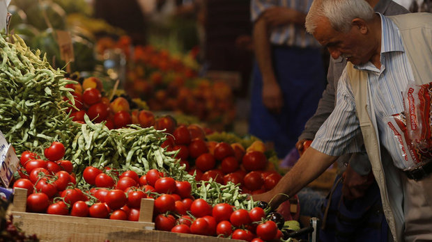 روسیه واردات گوجه فرنگی ترکیه را از سر می گیرد