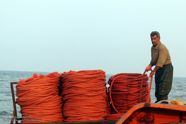 Fishing season in Gilan