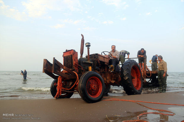 Fishing season in Gilan