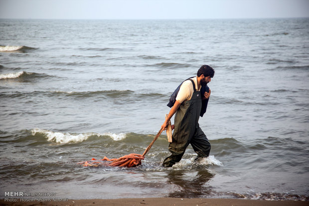 Fishing season in Gilan