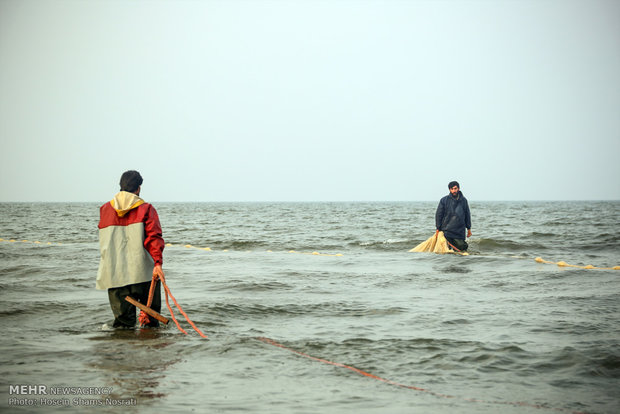 Fishing season in Gilan