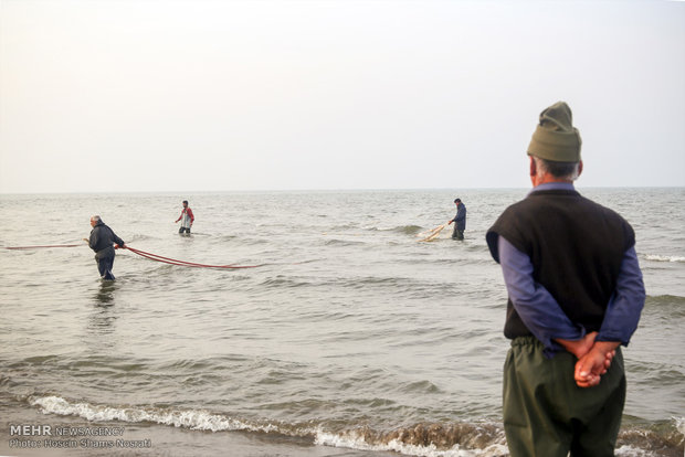 بدء موسم صيد الأسماك العظمية في محافظة "كيلان" شمالي إيران