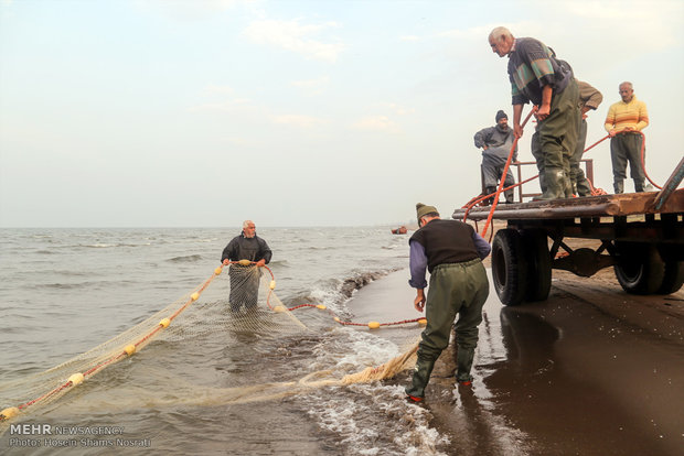 Fishing season in Gilan