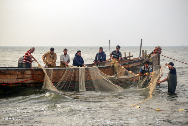 Fishing season in Gilan