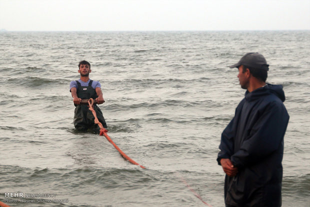 Fishing season in Gilan