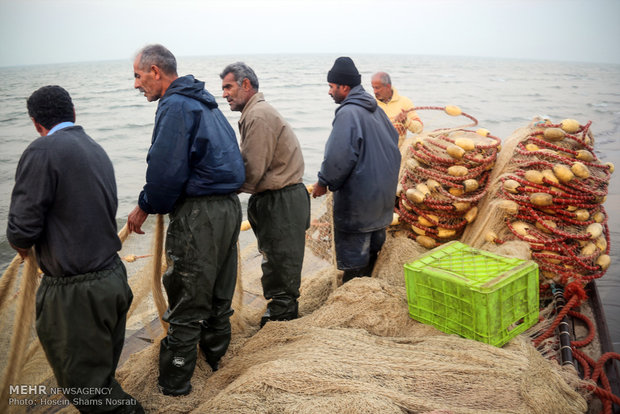 Fishing season in Gilan