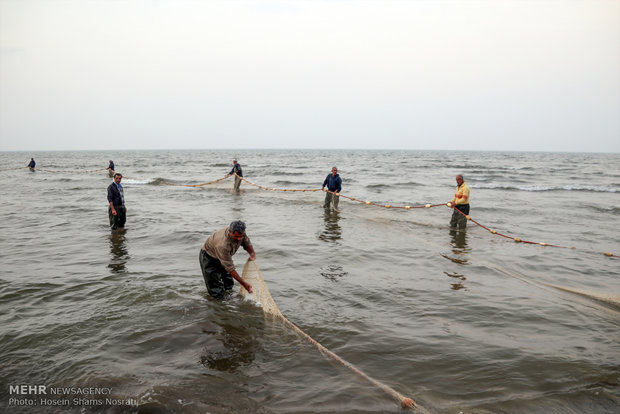 Fishing season in Gilan