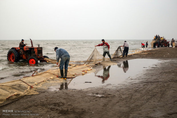 Fishing season in Gilan