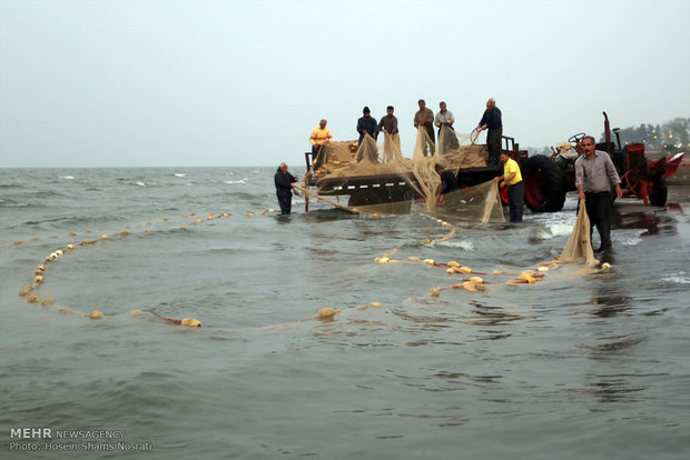 Fishing season in Gilan