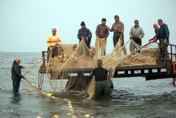 Fishing season in Gilan