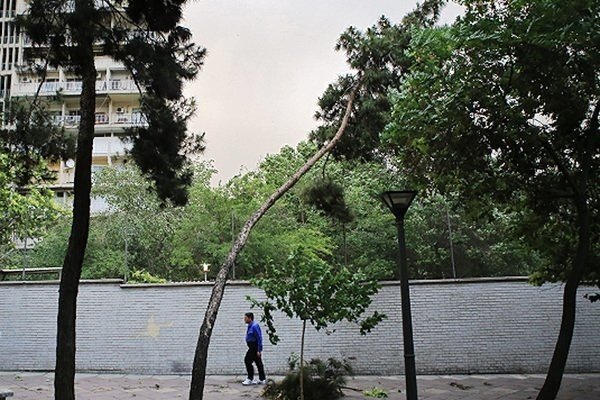 وقوع وزش باد در زنجان 