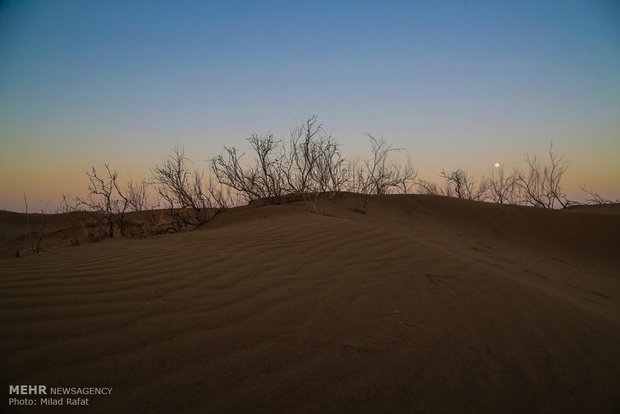 Beauty of desert; central Iran lowlands in frames 