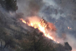 غفلت طبیعت‌گردان ۲ هکتار از مراتع بنادک سادات را به آتش کشید
