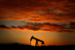 قیمت نفت خام تثبیت شد