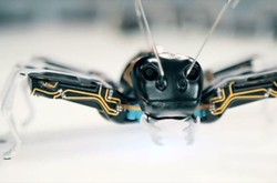 مورچه های رباتیک ساخته شدند