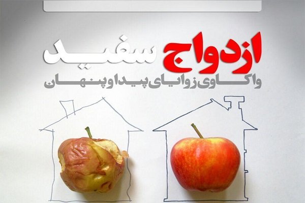 دومین نشست ازدواج سفید واکاوی زوایای پیدا و پنهان برگزار می شود