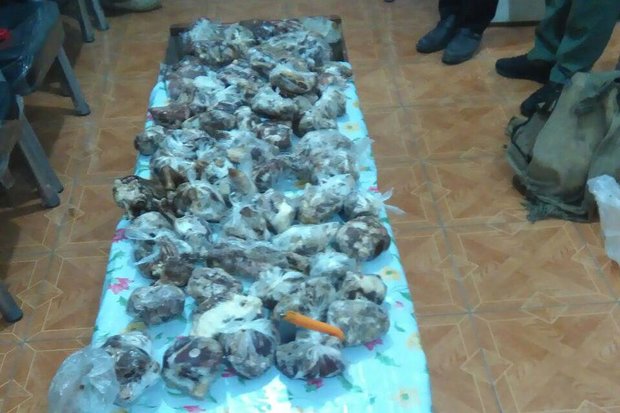 شکارچی غیر مجاز در شاهرود دستگیر شد/ کشف ۱۵کیلو گوشت شکار