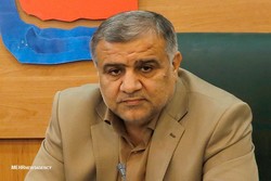 سرانه مطالعه در استان بوشهر افزایش یافت