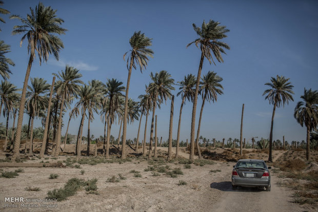 خادم الحسین عبدالواحد ناصر الاسدی