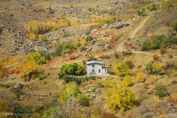Autumn beauty in Hamadan