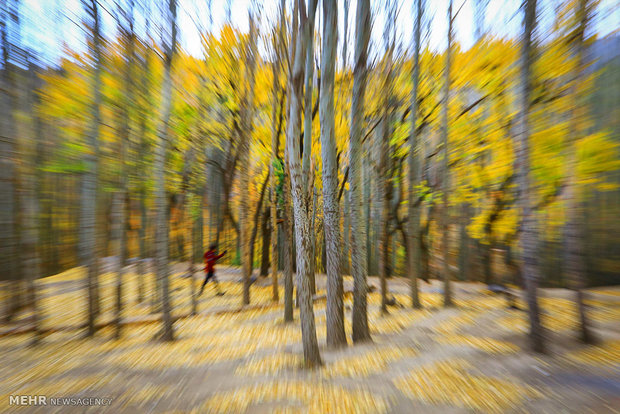 Autumn beauty in Hamadan