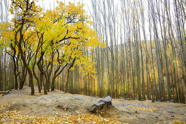 Autumn beauty in Hamadan