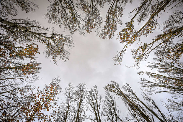 Autumn beauty in Hamadan