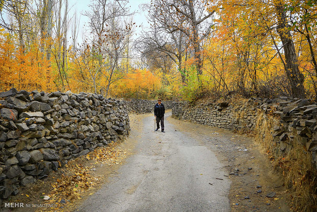 Autumn beauty in Hamadan