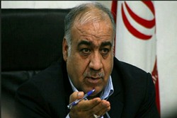 Governor says ISIL, PJAK, MKO terrorists identified during unrest in W Iran