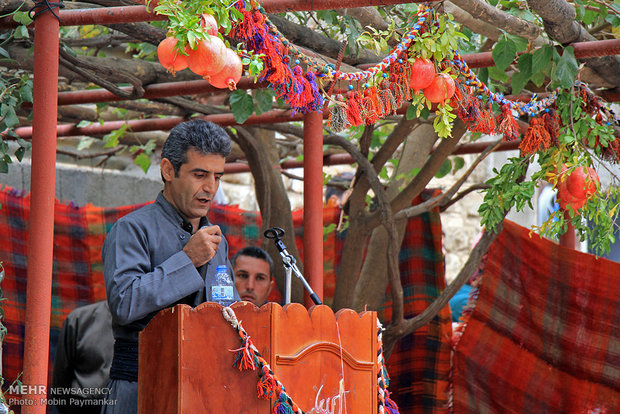 Pomegranate celebration