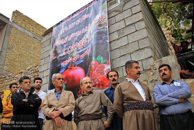 Pomegranate celebration