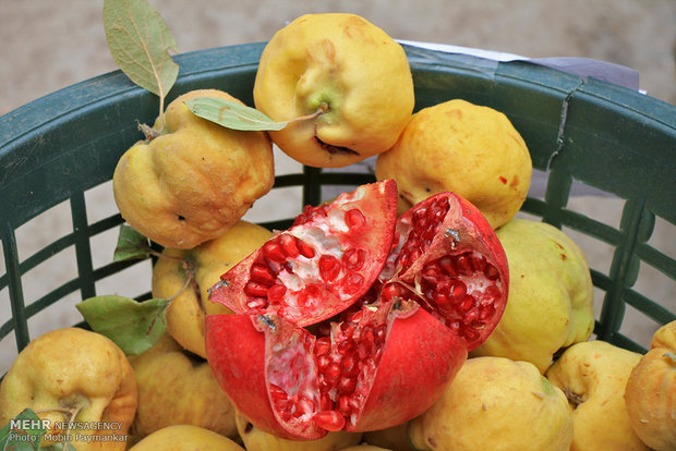 Pomegranate celebration